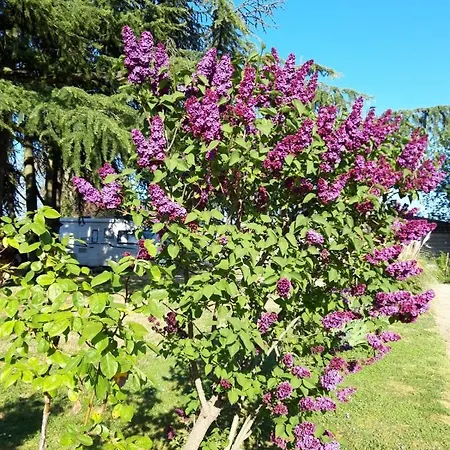 Mas De Grezes Rum i privatbostad *