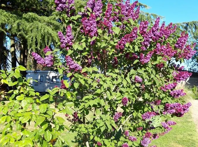 Mas De Grezes Rum i privatbostad *